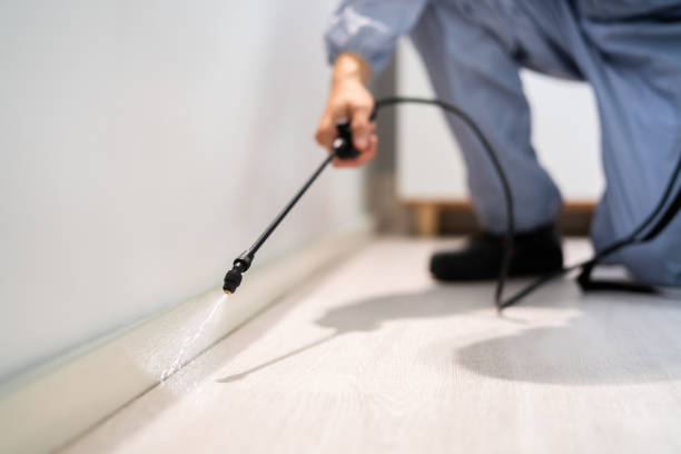 Licensed Fumigation Services service in Bridgeport, TX - Nex Pest Control