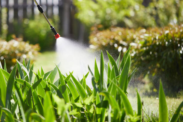 24/7 Emergency Fumigation Services experts in Bridgeport, TX