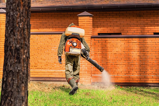 Trusted Fumigation Services service in Bridgeport, TX - Nex Pest Control